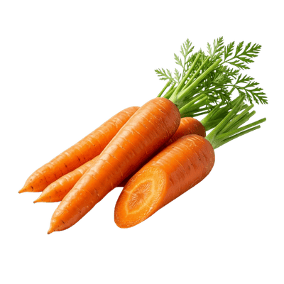 Carrot