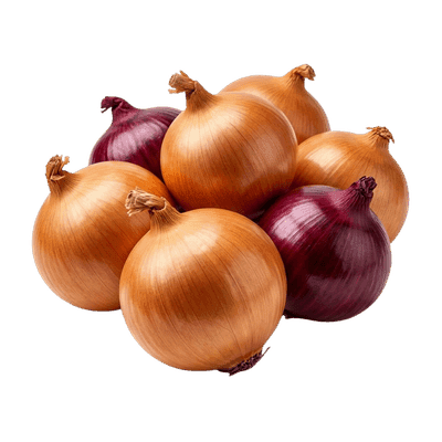Onion